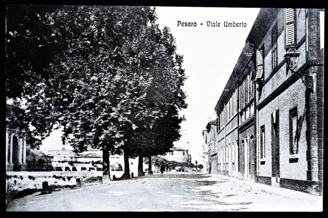 Marche - Pesaro - Viale Umberto - F.p. Viaggiata - 1913.