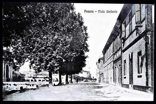 Marche - Pesaro - Viale Umberto - F.p. Viaggiata - 1913. Marche - Pesaro - Viale Umberto - F.p. Viaggiata - 1913.