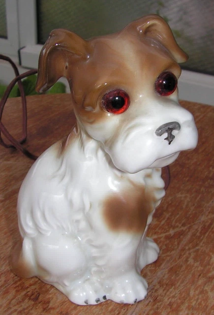 Alter Rauchverzehrer      Hund     mit Glasaugen