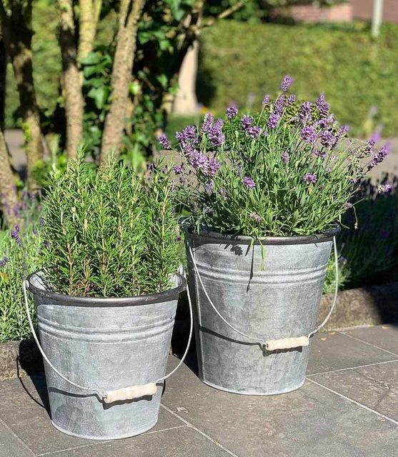 Zinkeimer Blecheimer verzinkt Pflanzkübel Antik-Stil Holzgriff Blumentopf