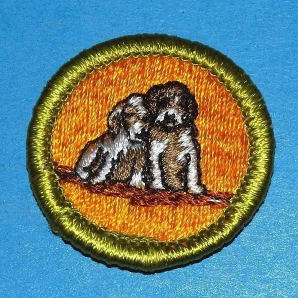 Dog Care Type H Merit Badge - Plastic Back  Boy Scouts -  7425