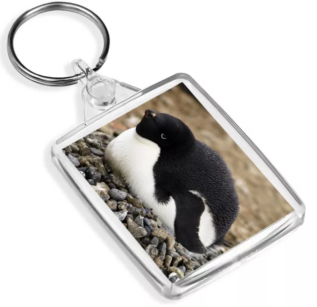 Adorable Baby Penguin Keyring Dynasties Arctic Bird Cool Keyring Gift #15707