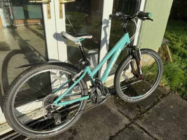 Trek 21 inch frame deals