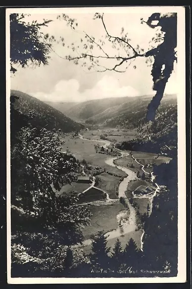 Ansichtskarte Sankt Blasien / Schwarzwald, Blick ins Alb-Tal 1928