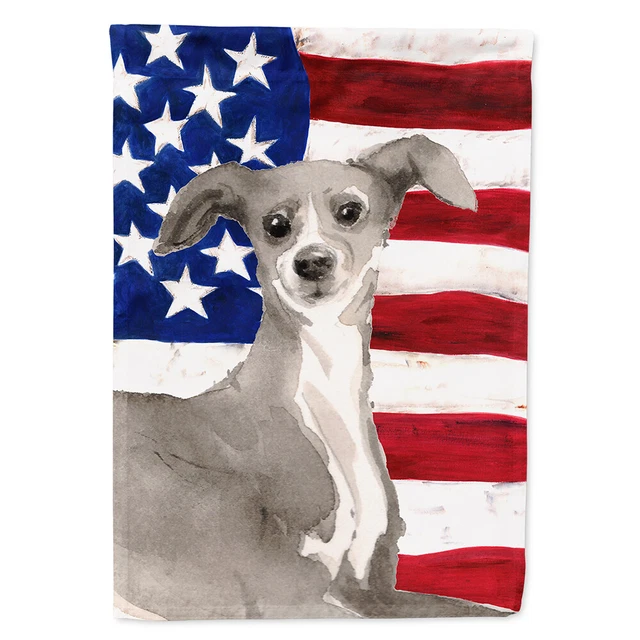Italian Greyhound Patriotic Flag Canvas House Size BB9387CHF