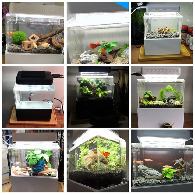 Mini Fish Aquarium Small Betta Fish Tank With Water Filter Desktop Decoration 4