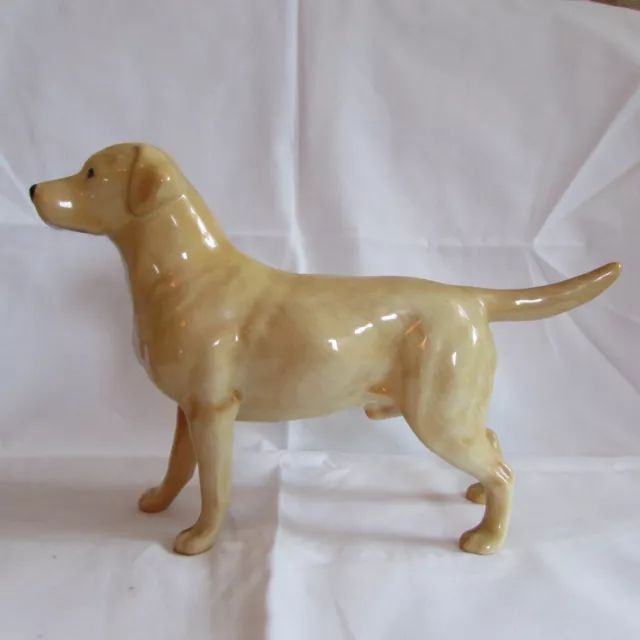 BESWICK GOLDEN LABRADOR "SOLOMAN OF WENDOVER" E In Excellent Condition