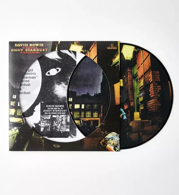 DAVID BOWIE THE Rise and Fall of Ziggy Stardust picture disc vinyl LP ...