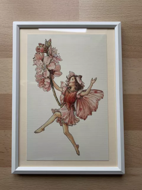 Flower Fairies framed print - 'Almond Blossom Fairy' - Cicely Mary Barker 1940