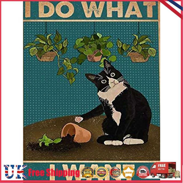 5D DIY Diamond Painting Kit Full Round Drill Letter Black Cat Decor (B4457) *Z