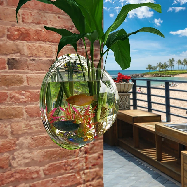 Fish Tank Durable Wall Mounted Modern Round Hanging Fish Bowl Fine Craftsmanship