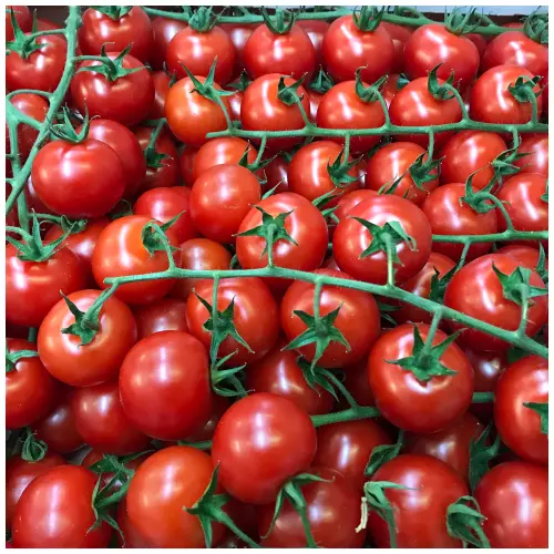 60 Piccolo Red Cherry Tomato Seeds  - Sweet & Juicy - High Cropping 2