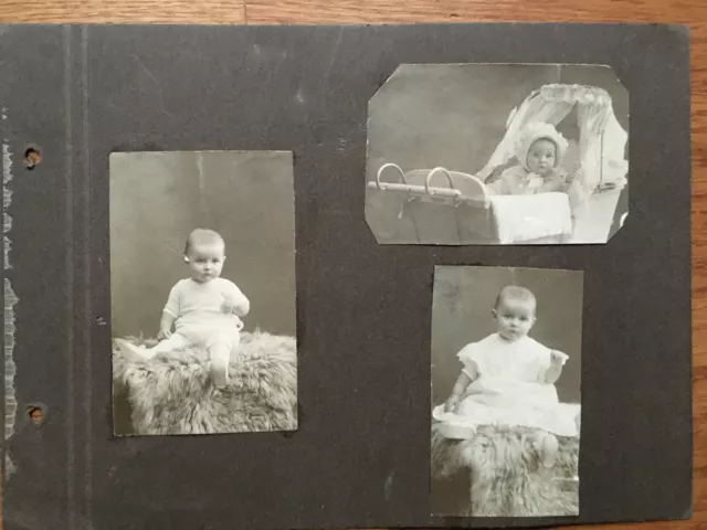 3x altes orig. s/w Foto Kleinkind Baby auf Albumseite um 1910 Kinderwagen Fell