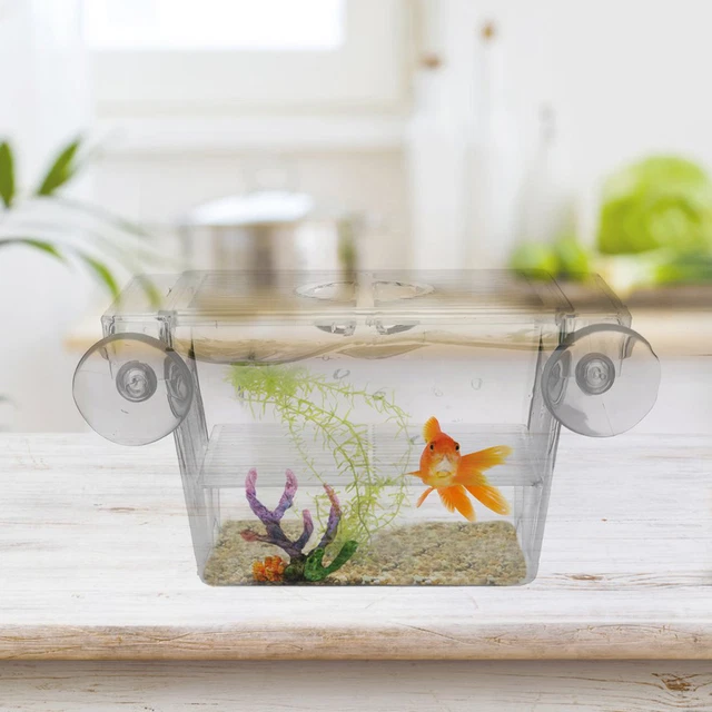 Aquarium Fish Tank Breeding Breeder Rearing Box Hatchery Isolation Case, Small