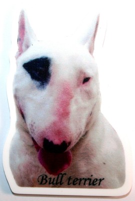 Marqueur B1 BULLS Bull Terrier Magnet Aimant Chien avec Ardoise Magnétique Frigo 