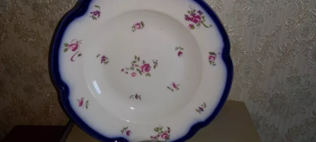 superbe assiette porcelaine de Sevres/bayeux ??signée 19eme... 2