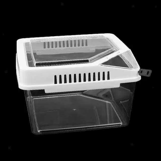 Reptile  Spider Beetle Scorpion Vivarium Terrarium Rearing Box