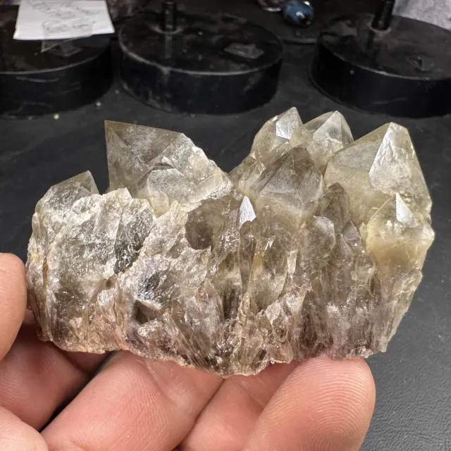 Irradiated Phantom Green Citrine Quartz Crystal Cluster / Georgia Location 3