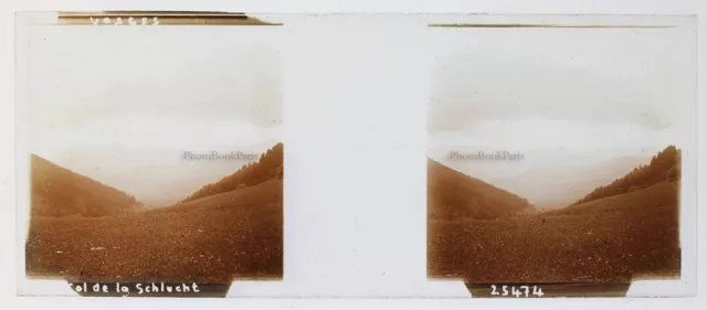 Vosges Col de la Schlucht France Photo Stereo PL52P4n Plaque de verre Vintage