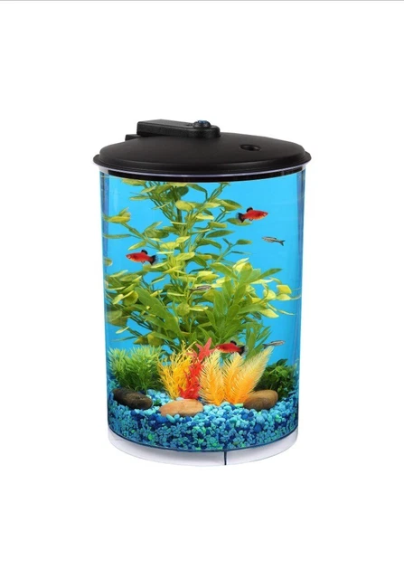 3 Gallon Fish Tank With Filter and LED Lighting