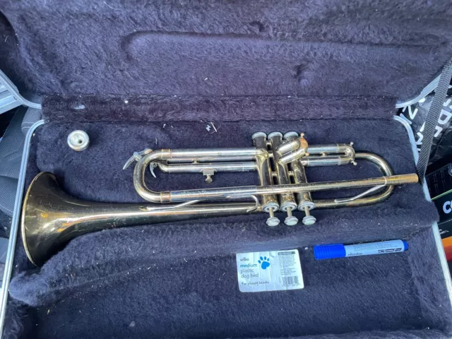 Blessing discount scholastic trumpet