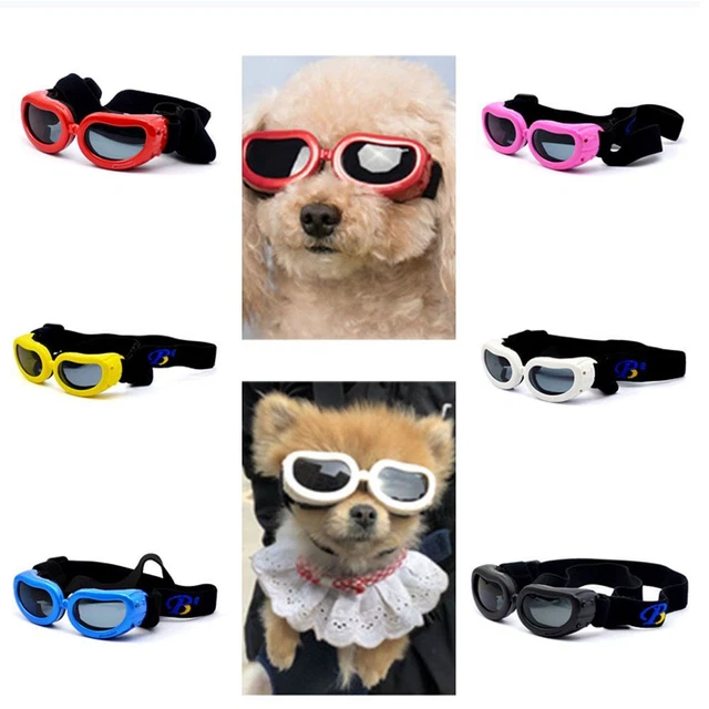 Gafas de sol a prueba de viento con correa ajustable para perros pequeños