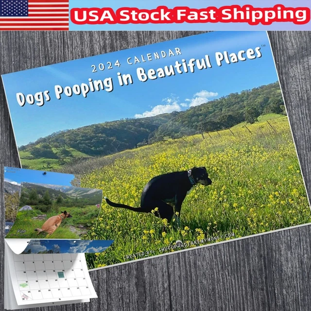 2025 CALENDAR FUNNY Dogs Pooping in Beautiful Places Wall Calendar