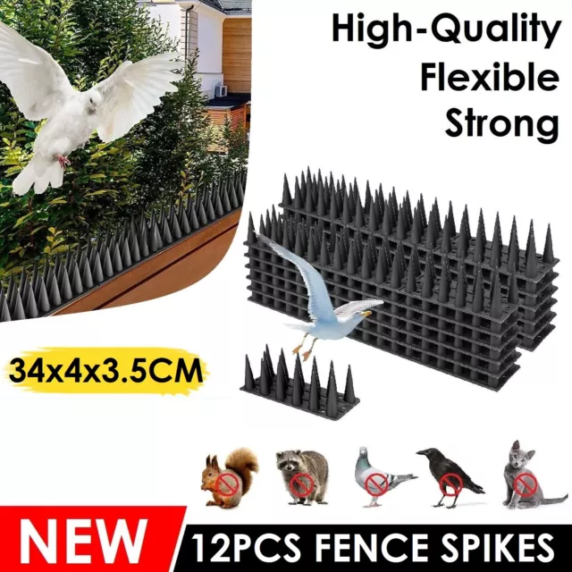 Bird Spikes Deterrent Anti Cat Human Possum Fence Spikes Mouse Pest Control