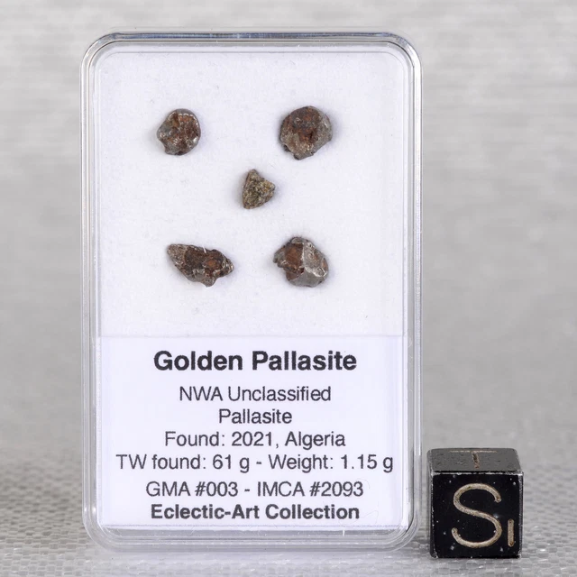 Lotto Di 5 Météorite Golden River Pallasite 1,15 G Algeria 2021 #C007.2-1