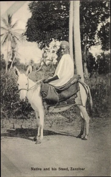 Ak Zanzibar Sansibar Tansania, Native and his Steed, Reiter - 10632153