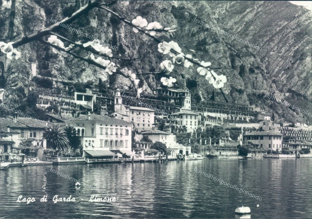 g379 cartolina provincia di brescia lago di garda limone