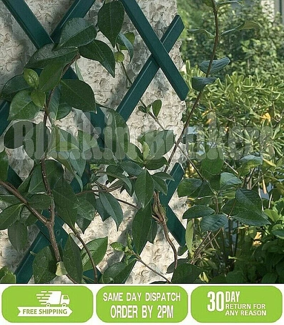 2 Coccinelle Giganti Da Giardino In Plastica, 17,8 Cm – Decorazione Per Esterni, Patio, Recinzione, Art Déco