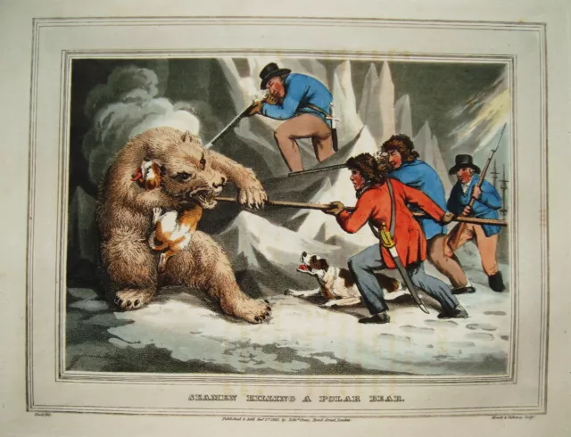 Eisbär Eisbärjagd  sehr seltener altkolorierter Kupferstich in Aquatinta 1813