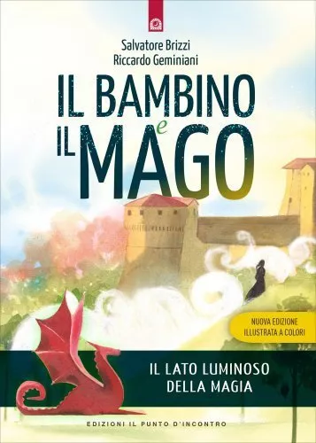 Libro Il Bambino E Il Mago - Salvatore Brizzi E Riccardo Geminiani