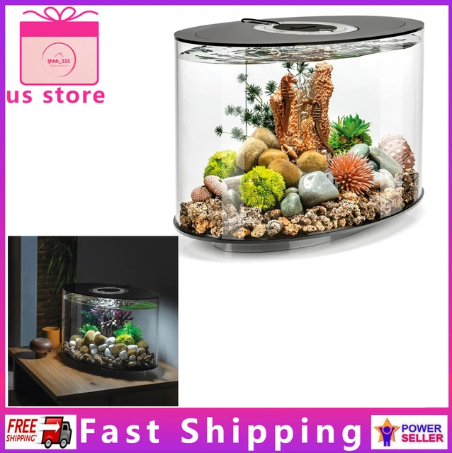 Black Loop 15 Aquarium With Standard Light - 4 Gallon, Acrylic,Free Shipping