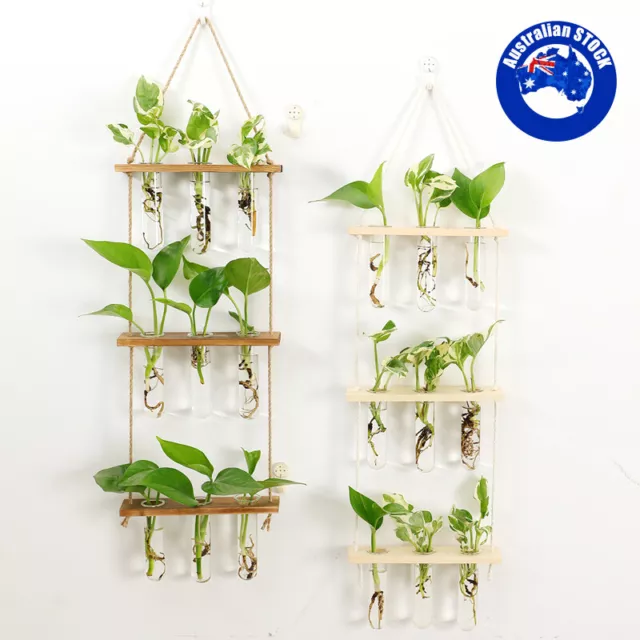 Hanging Tube Planter Flower  Glass Vases With Wooden Stand 3 Tiered Terrarium AU