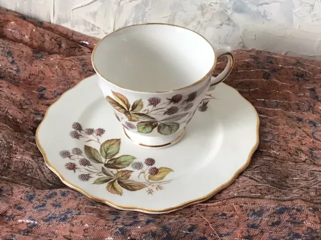 Blackberry Pattern Royal Vale Teacup and Saucer Set 1960