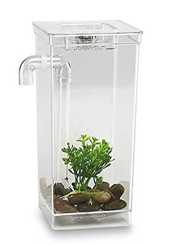 ❤️AS SEEN ON TV ~Self Cleaning Tank My Fun Fish Aquarium Setup ~ BRAND NEW❤️ 8
