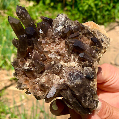402G Natural Beautiful Black Quartz Crystal Cluster Mineral Specimen Rar