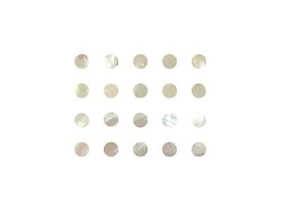 Incudo Blanco Madre de Perla incrustaciones de puntos - 10mm (paquete de 20)