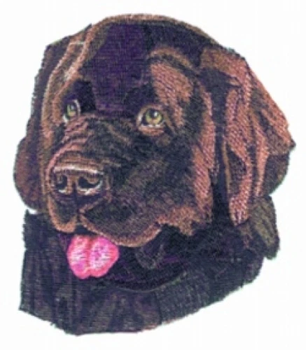 Embroidered Sweatshirt - Newfoundland BT2357  Sizes S - XXL
