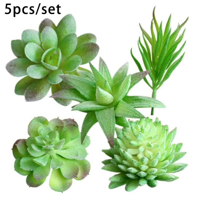 Pianta Grassa Artificiale Turelifes | Cactus Finto Realistico In Plastica Per Decorazione Casa E Giardino, Colorata E Carina, Senza Manutenzione (Color6) - 2