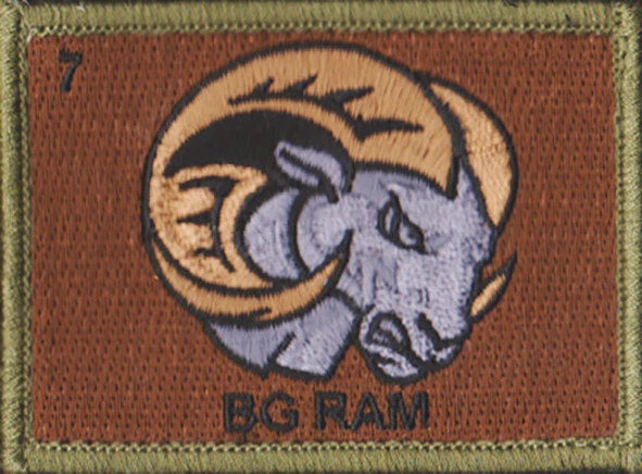 8TH/9TH BATTALION, THE Royal Australian Regiment - (8/9 RAR) (BG) $9.00 ...