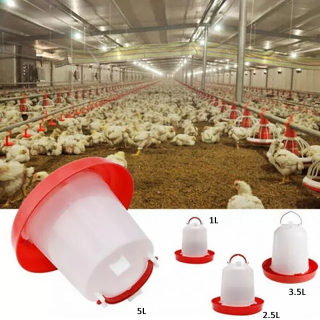 1/2.5-5L Feeder & Drinker Chicken / Poultry / Duck/Hen Food And Water Accesories