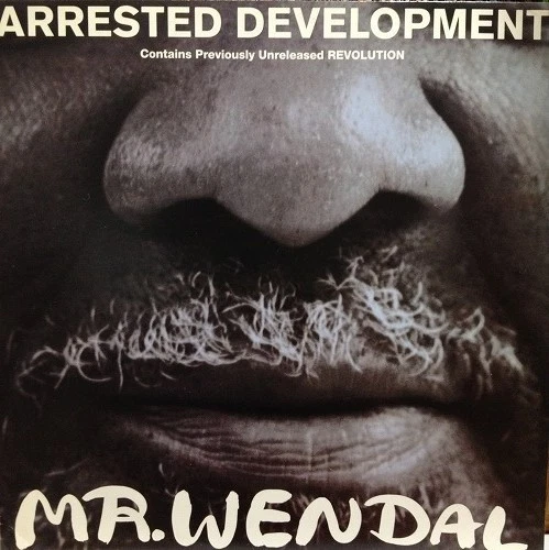 ARRESTED DEVELOPMENT Wendal Used Vinyl Record 12 U1034z