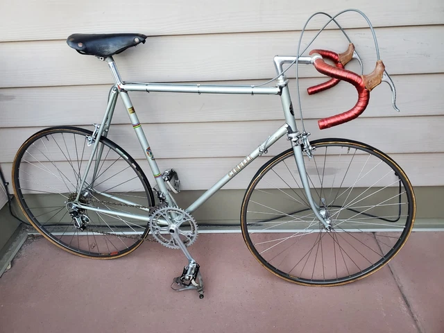 ロッド Catalina Stick 59S-4/5 Interface Oral Health Science PDF | PDF | Tissue Engineering