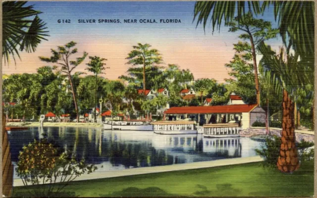Postcard FL Silver Springs Near Ocala Florida Linen