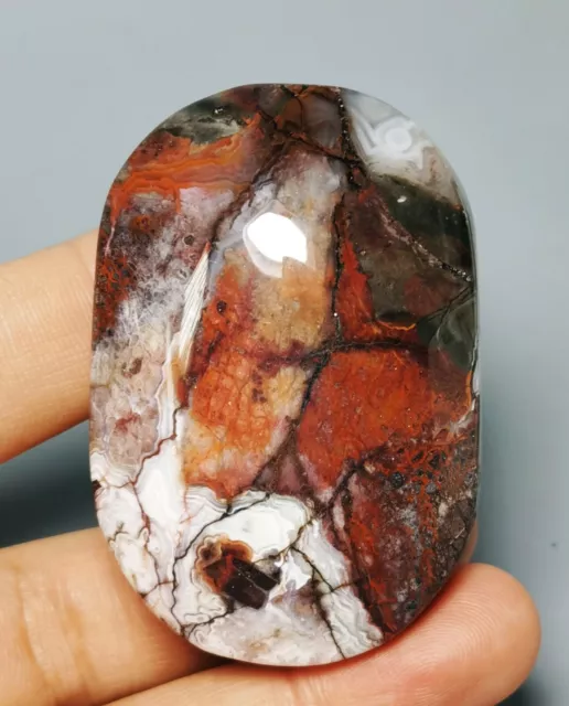 Natural Beautiful Mexican Crazy Lace Agate Geode Crystal Healing Sphere Palm