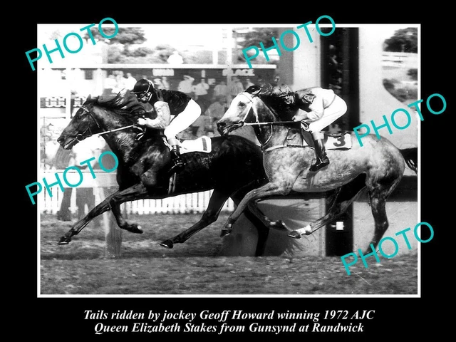 Old Large Horse Racing Photo Of Tails Beating Gunsynd At Randwick In 1972