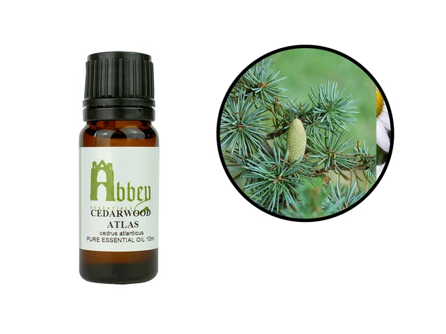 Essential Oil Cedarwood Atlas 100% Pure Natural Aromatherapy 10ml - 100ml UK